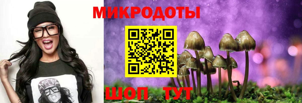 Нижний Новгород  Псилоцибиновые грибы Psilocybine cubensis  Вход с VPN 